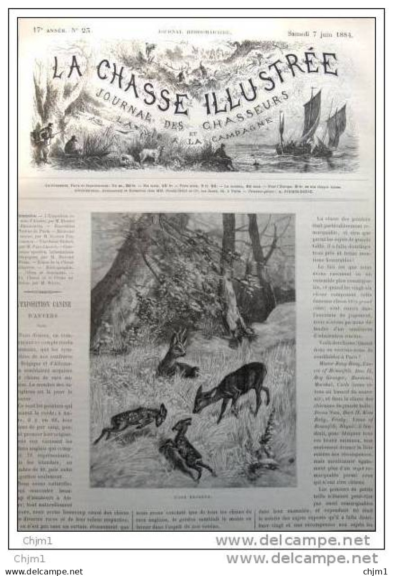 Rehe Mit Kitzen-  Chevreuil - Alter Stich 1884 - Gravure - Estampas & Grabados