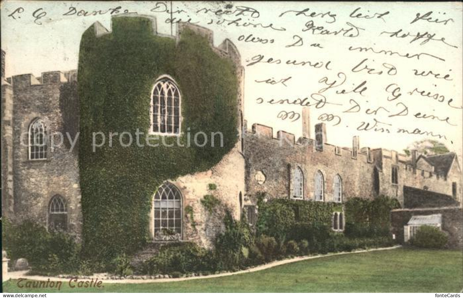 11774670 Taunton Deane Castle Taunton Deane - Other & Unclassified