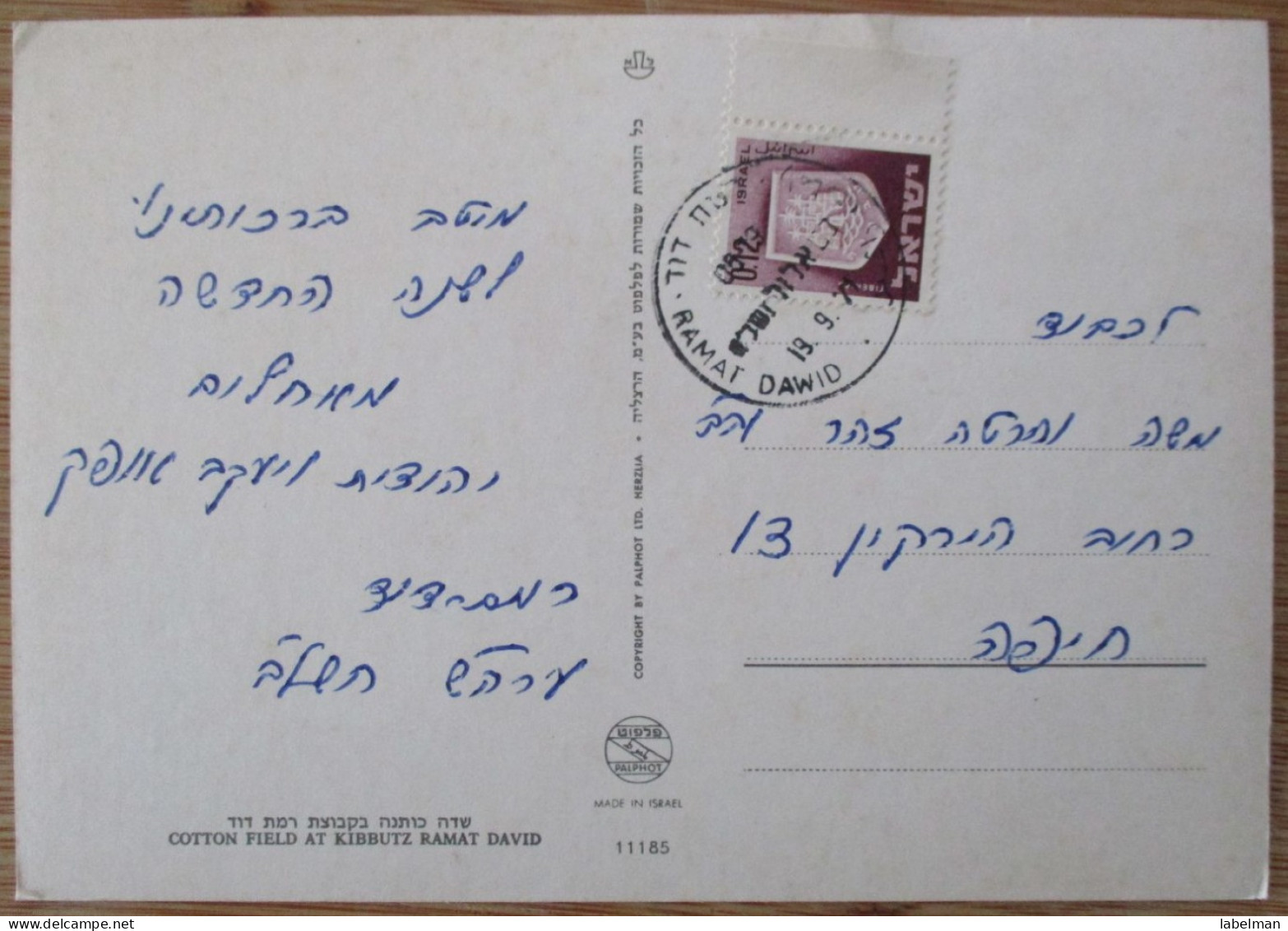 ISRAEL JEZREEL VALLEY KIBBUTZ RAMAT DAVID POSTCARD KARTE CARD ANSICHTSKARTE CARTOLINA CARTE POSTALE PC POSTKARTE - Israël