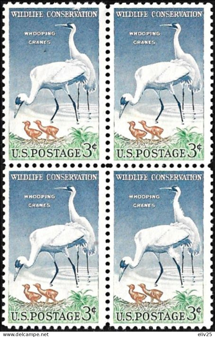 USA 1957, Wildlife Conservation Birds - Block Of 4 V. MNH - Kranichvögel