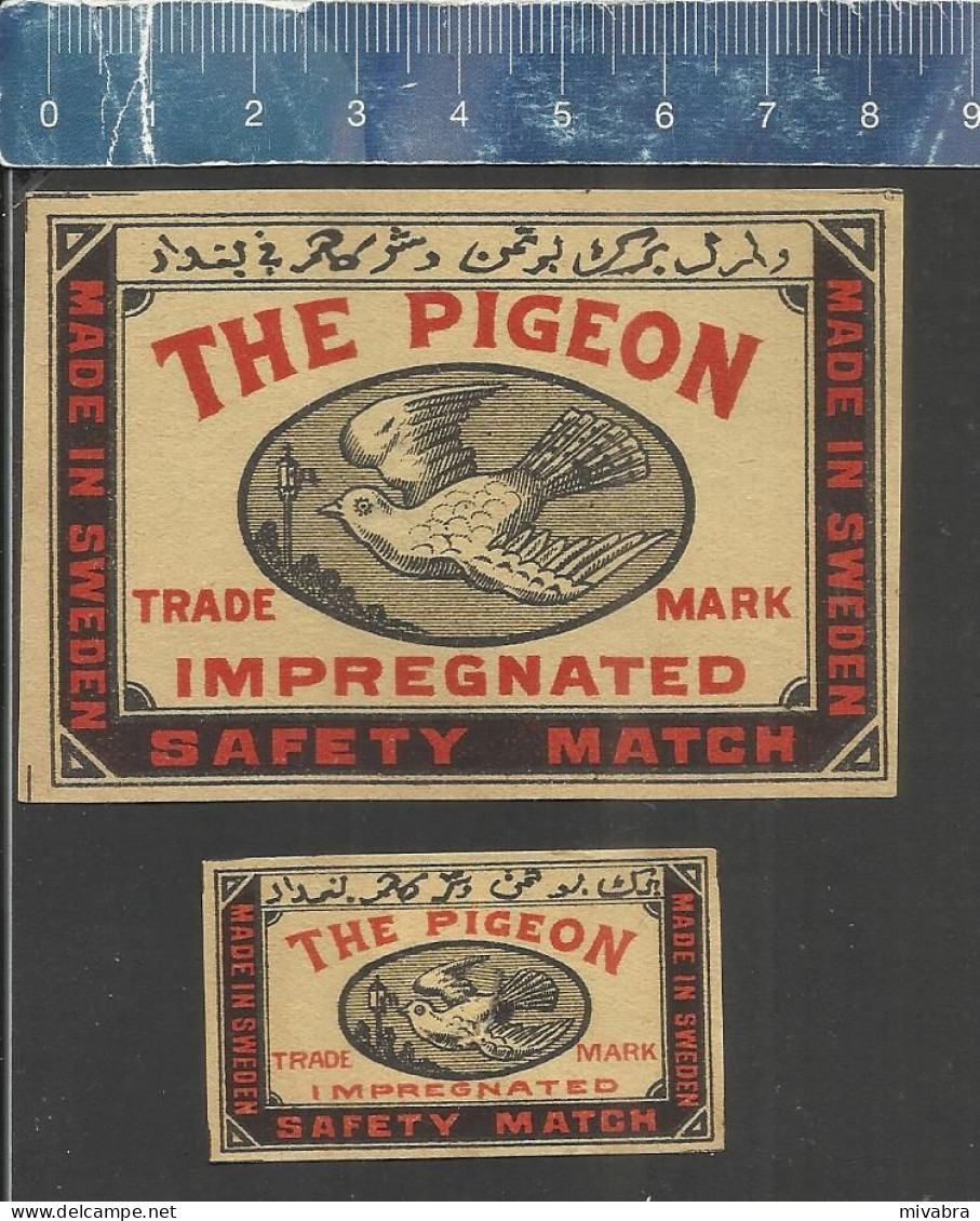 THE PIGEON  IMPREGNATED  SAFETY MATCH (PIGEONS - TAUBEN - DUIVEN PALOMA ) OLD  EXPORT MATCHBOX LABELS MADE IN SWEDEN - Cajas De Cerillas - Etiquetas