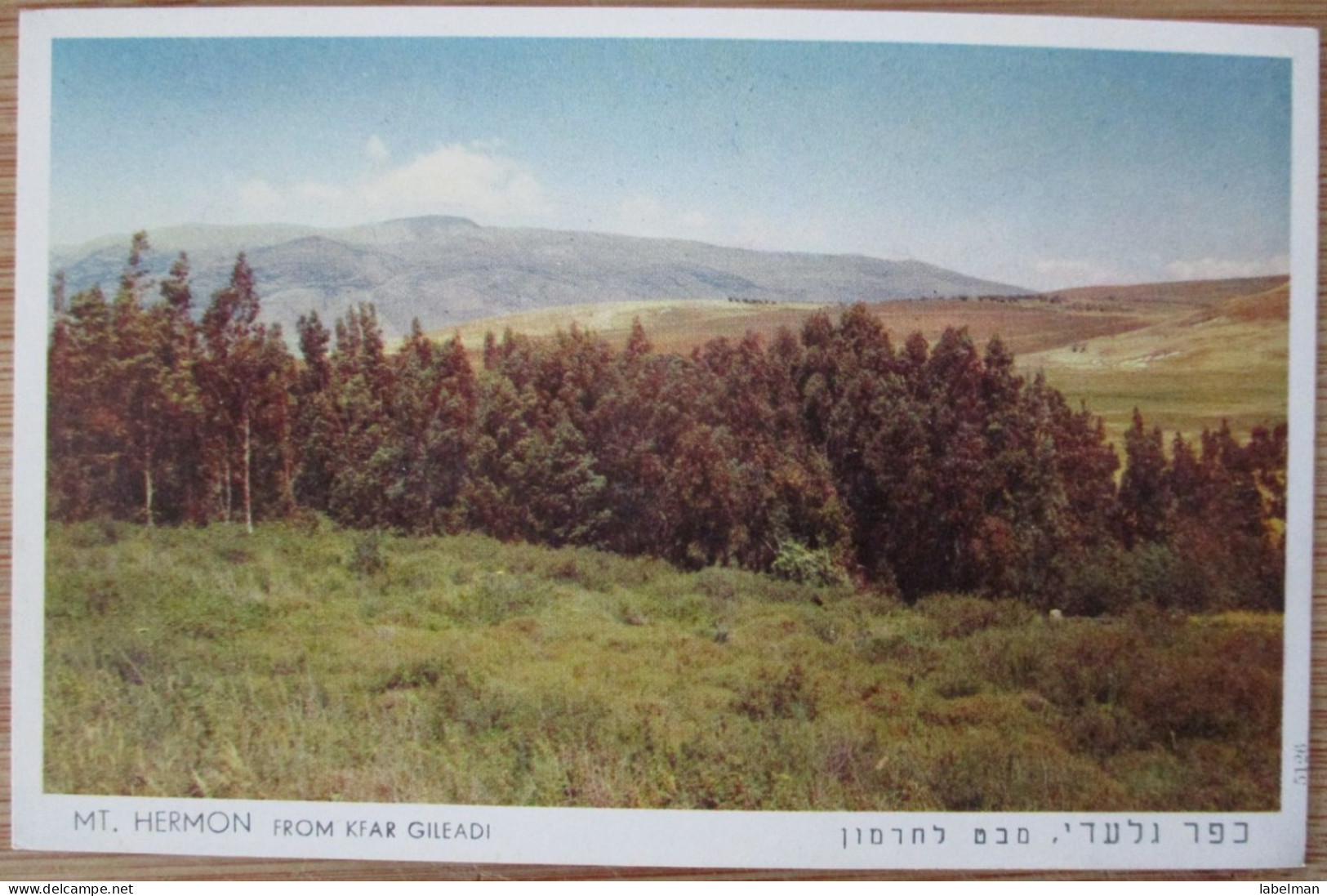 ISRAEL UPPER GALILEE KIBBUTZ KFAR GILADI MT HERMON CARD CARTE POSTALE ANSICHTSKARTE CARTOLINA POSTCARD POSTKARTE KARTE - Israel