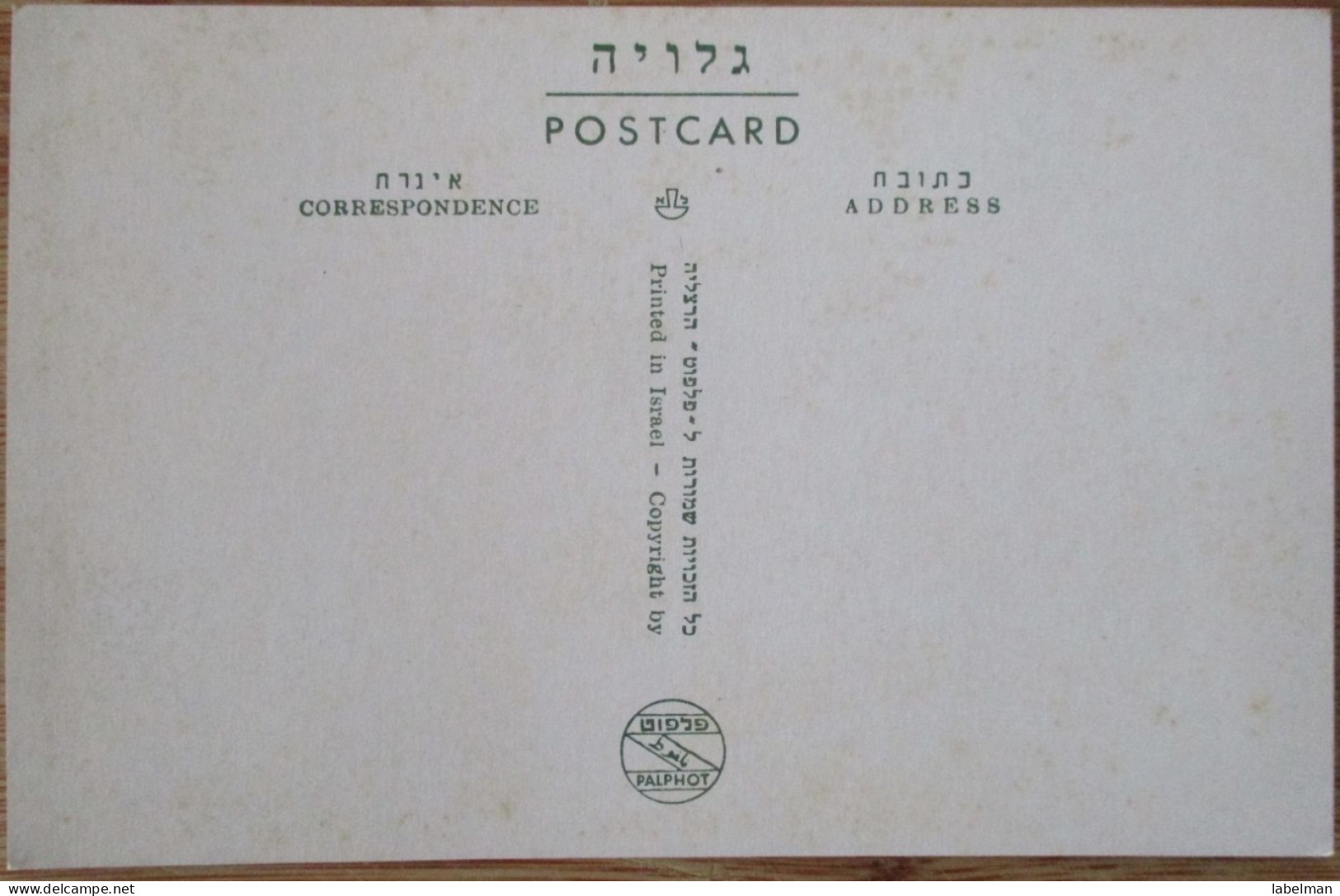 ISRAEL UPPER GALILEE KIBBUTZ KFAR GILADI MT HERMON CARD CARTE POSTALE ANSICHTSKARTE CARTOLINA POSTCARD POSTKARTE KARTE - Israel