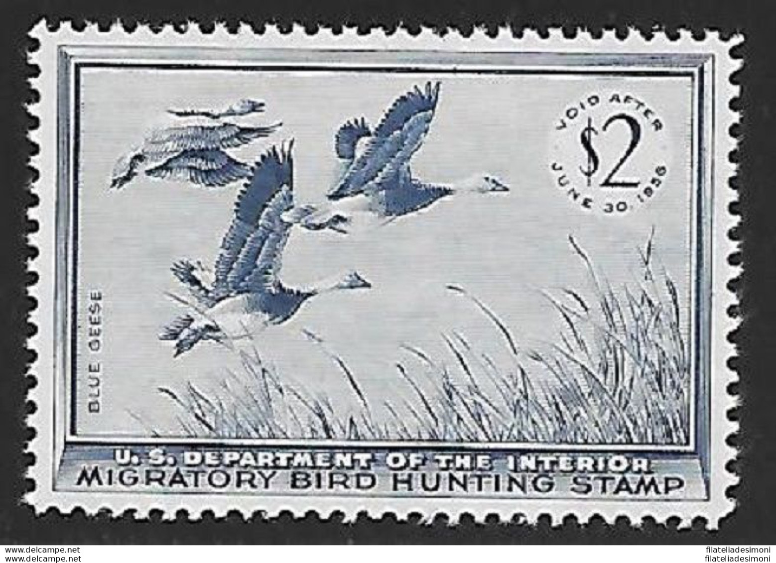 1955 Stati Uniti, 2$  Blue Geese MNH/** - Altri & Non Classificati