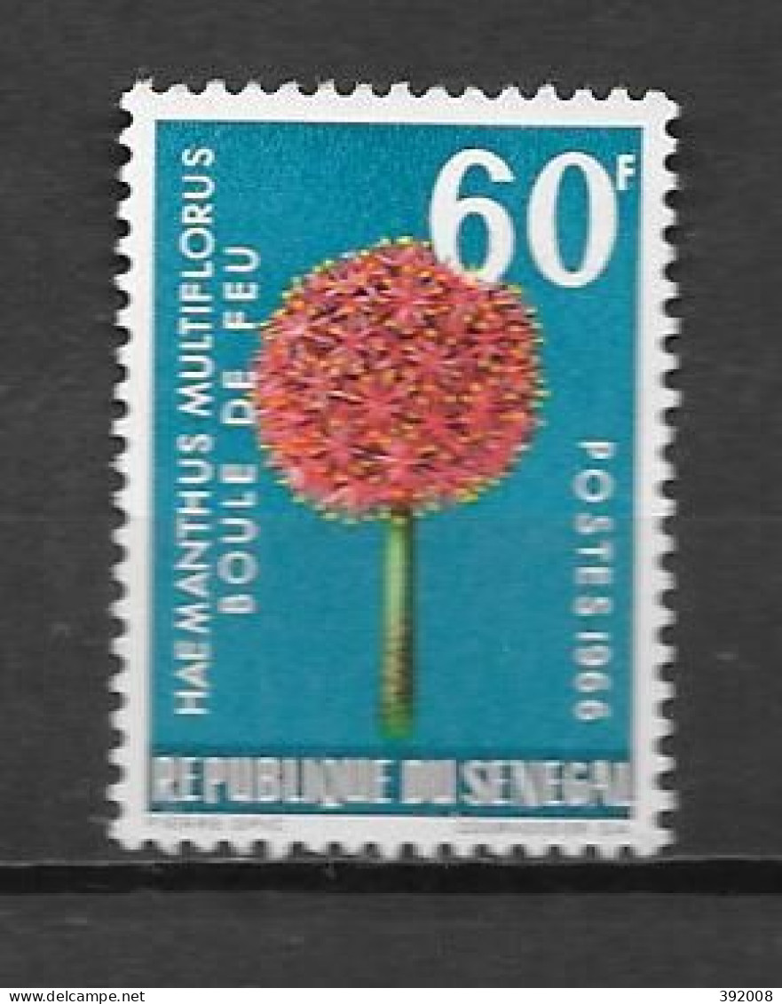 1966 - N° 282 **MNH - Fleurs - Senegal (1960-...)