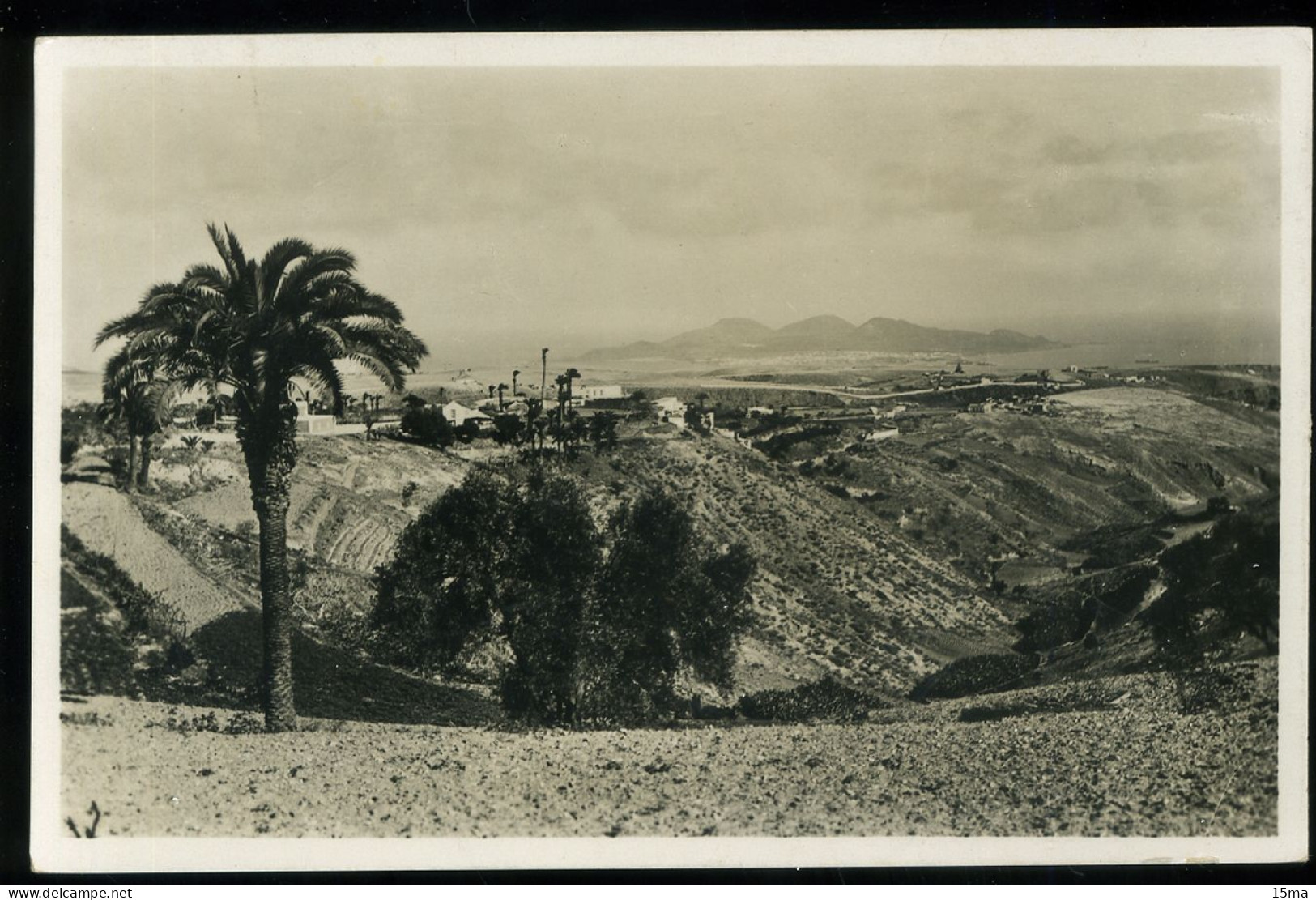 Prettoria 1939 Carte Photo Photocard - South Africa