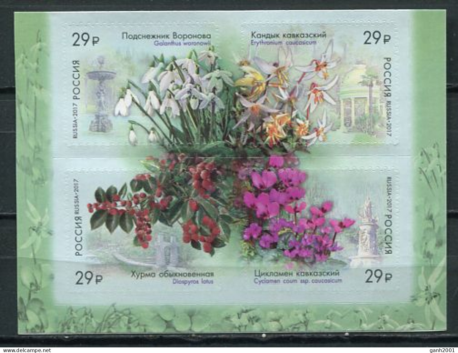 Russia 2017 Rusia / Flowers MNH Flores Fleurs Blumen / Cu5311  40-63 - Sonstige & Ohne Zuordnung