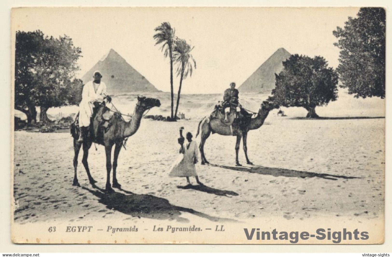 LL 63 / Egypt: Les Pyramides / Camels (Vintage PC 1910s/1920s) - Sonstige & Ohne Zuordnung