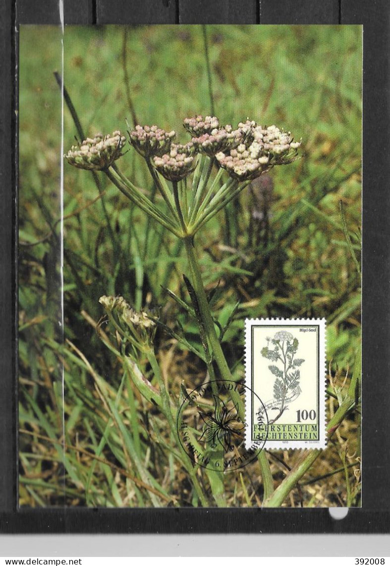 1993 - 1010 - Fleur - 32 - Maximumkaarten
