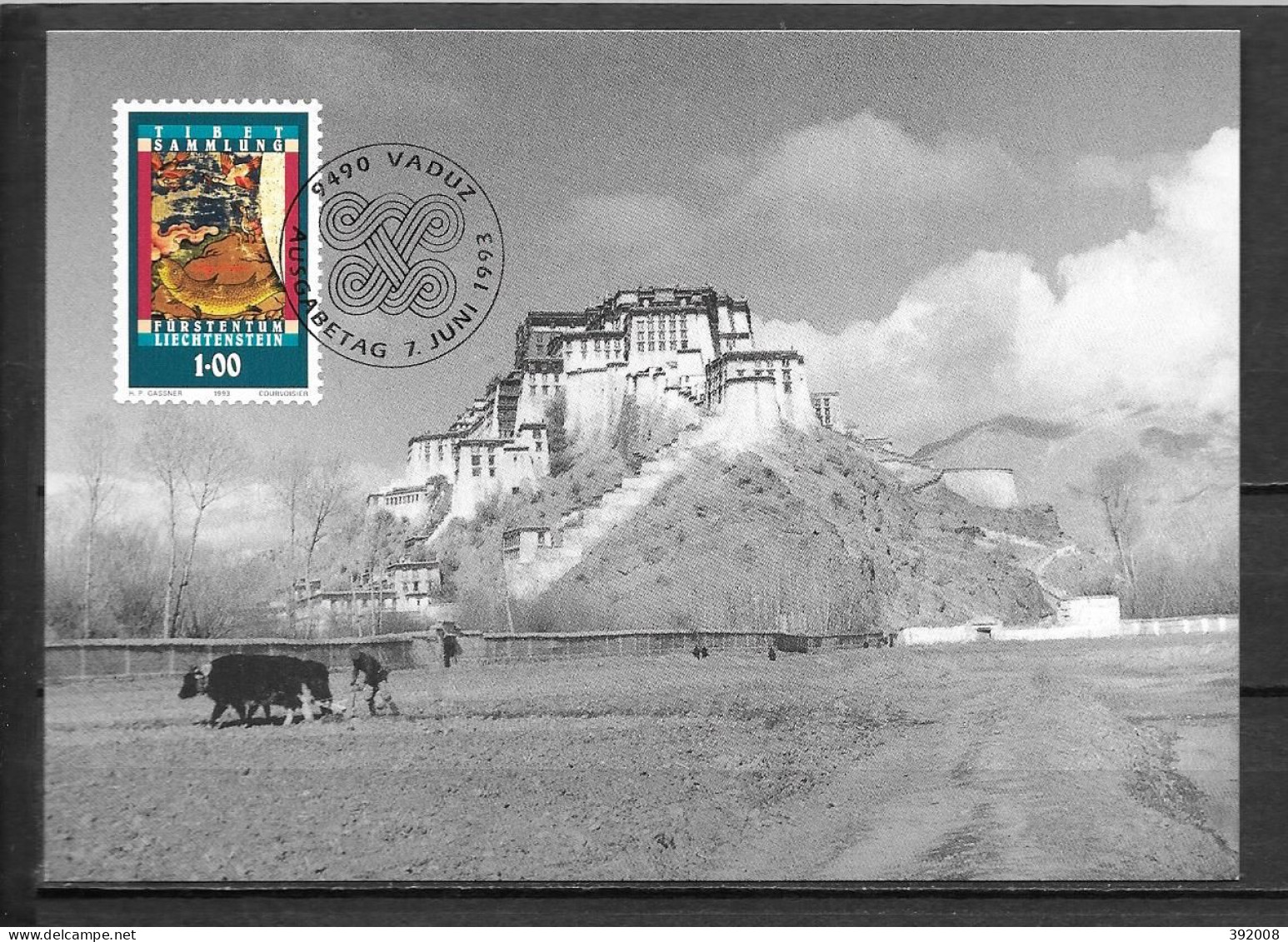 1993 - 1004 - Art Tibétain - 32 - Maximumkaarten