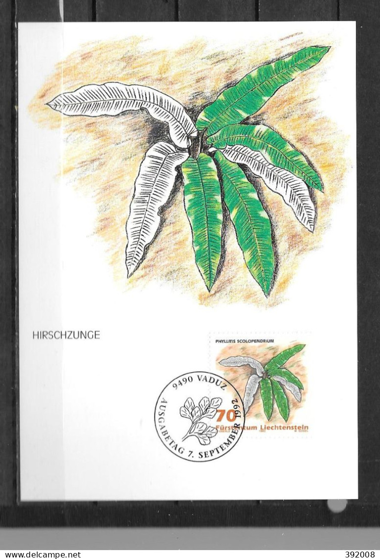 1992 - 988 - Fougères - 30 - Cartoline Maximum