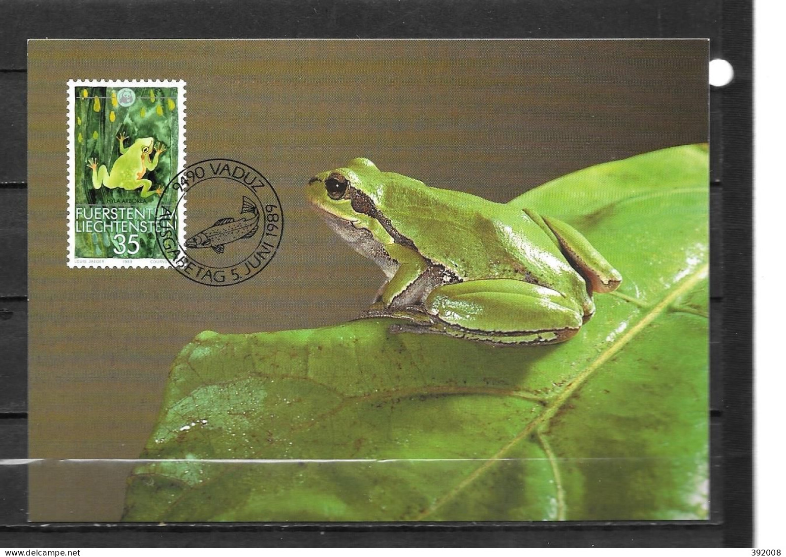 1989 - 909 - Grenouille  - Cartes-Maximum (CM)