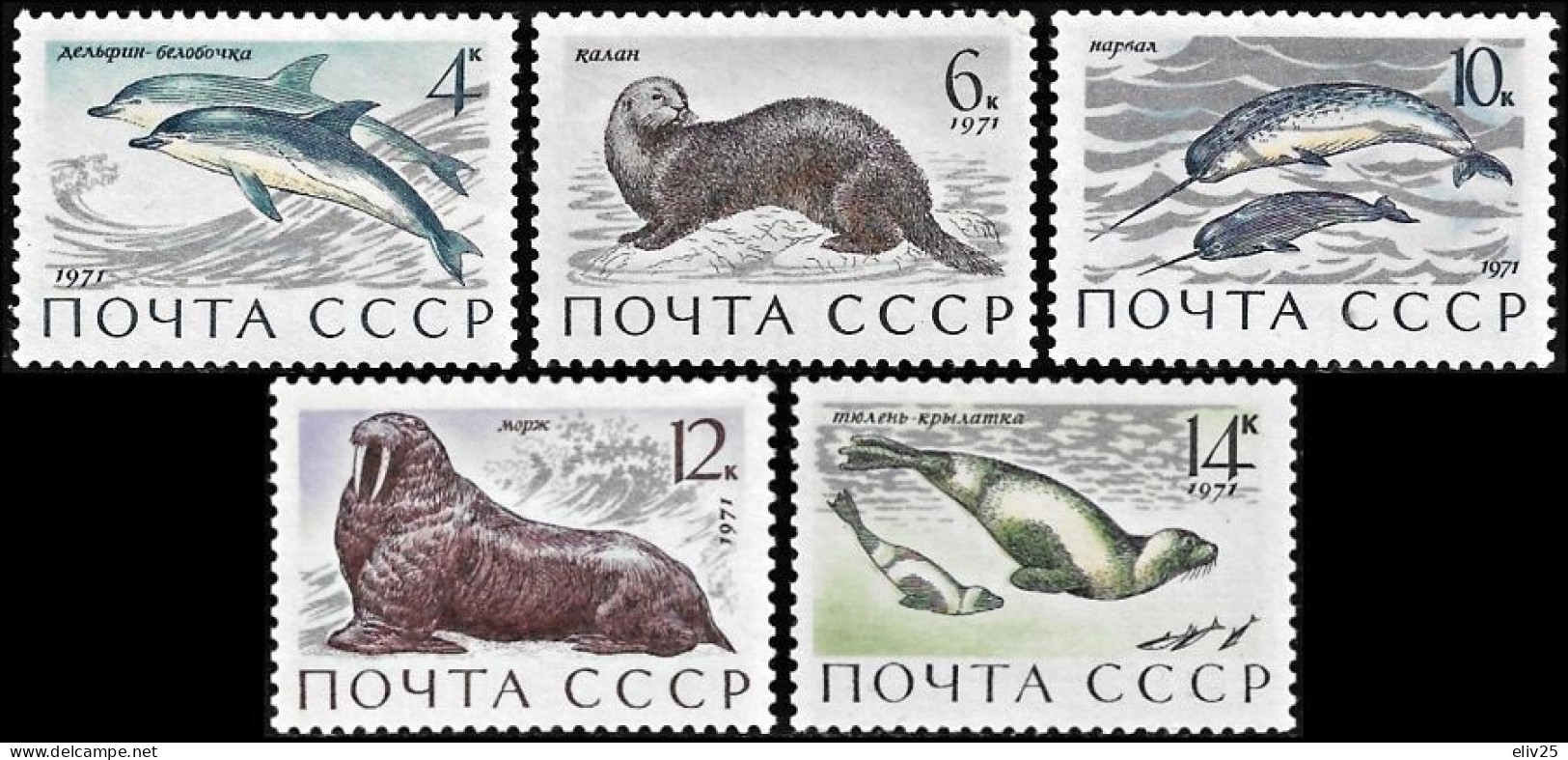 USSR / Russia 1971, Marine Mammals Dolphins - 5 V. MNH - Sonstige & Ohne Zuordnung