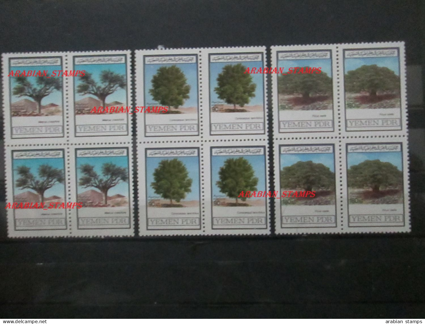 YEMEN PDR PEOPLE'S DEMOCRATIC REPUBLIC (SOUTH) 1981 BAUMEN FLORA TRESS FICUS VASTACONOCARPUS LANCIFOLIUS MAERUA PLANT - Trees