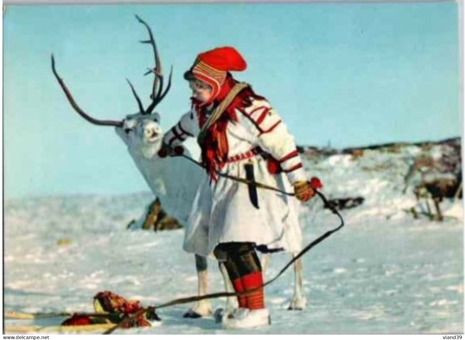 Jeune Fille Lapon En Costume Avec Un Renne.   Non Circulée. - Norway