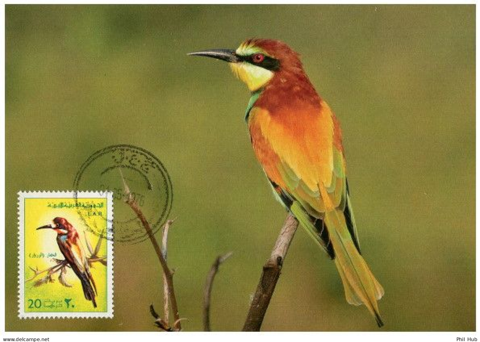 LIBYA 1976 Birds Bird "European Bee-eater" (maximum-card) #4 - Passereaux