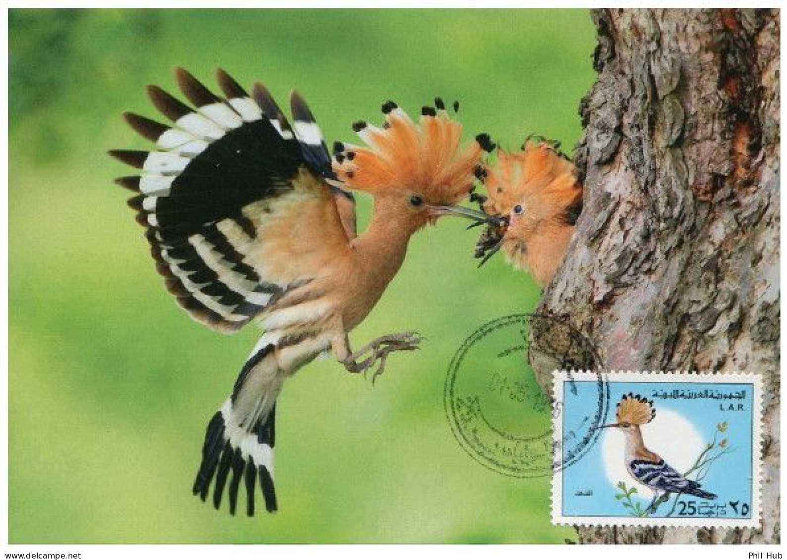 LIBYA 1976 Birds Bird "Eurasian Hoopoe" (maximum-card) #5 - Climbing Birds