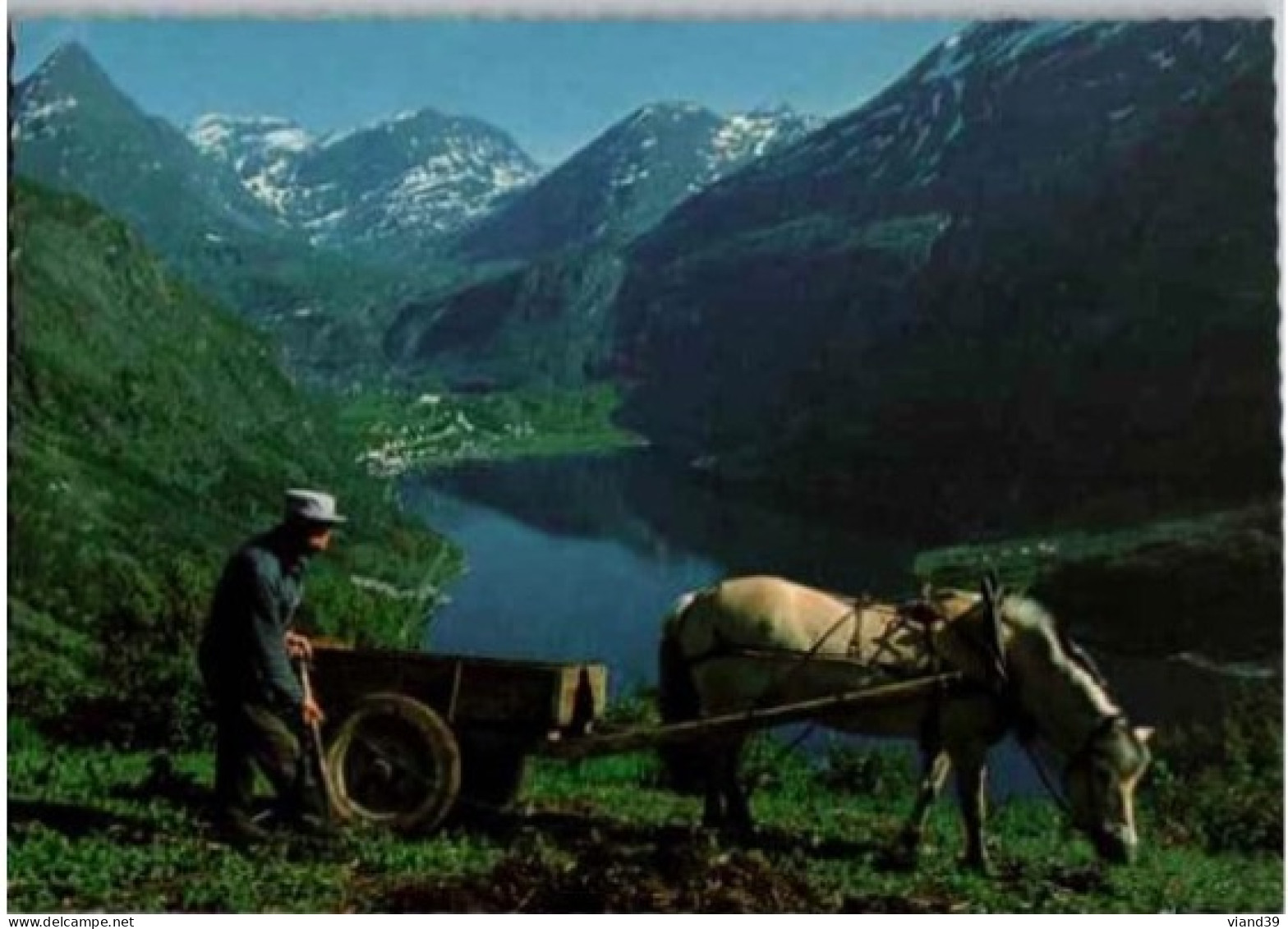 GEIRANGER. -   Non Circulée. - Noorwegen