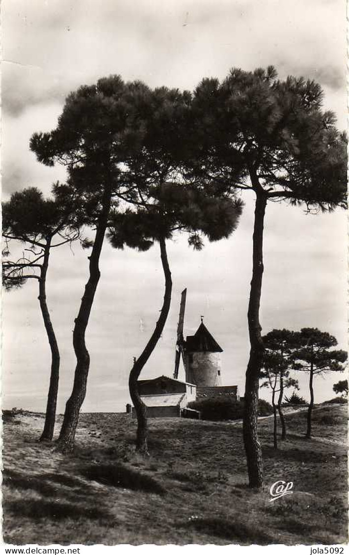 85 - Ile De NOIRMOUTIER - La Guérinière - Moulin - Ile De Noirmoutier