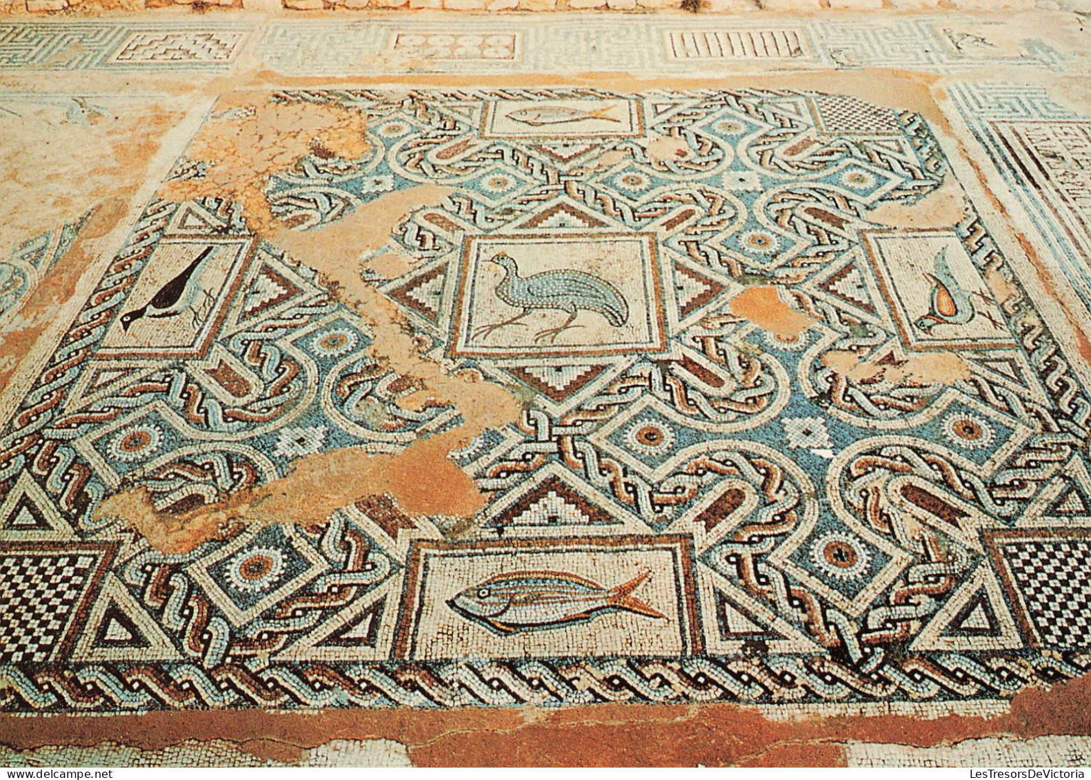 CHYPRE - Chypre - Mosaique Curium - Limassol - Vue Générale - De L'intérieure - Carte Postale - Cyprus