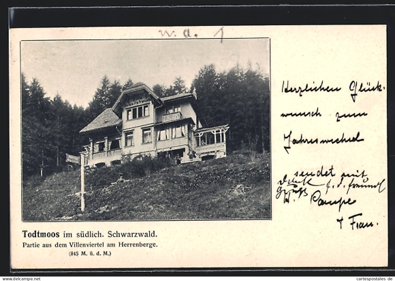 AK Todtmoos Im Südl. Schwarzwald, Villa Arbeitsfreude Am Herrenberge  - Todtmoos