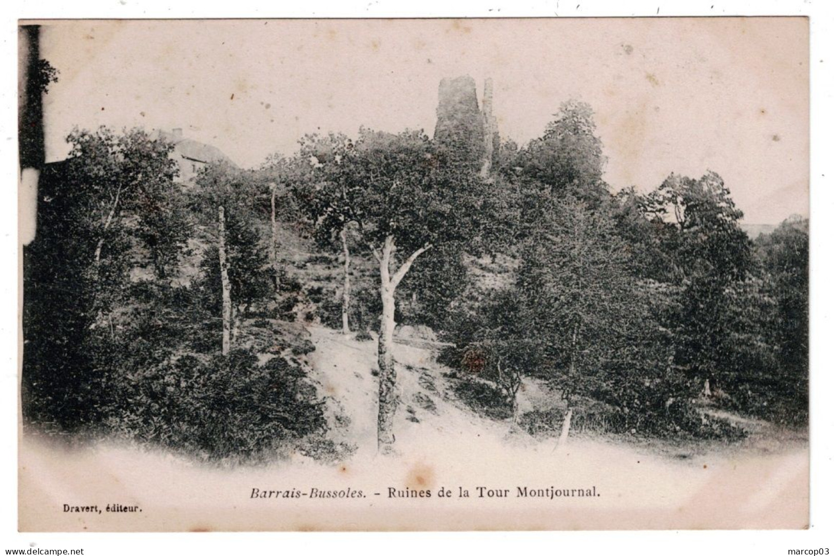 03 ALLIER BARRAIS BUSSOLES Ruines De La Tour Montjournal  Plan Peu Courant - Sonstige & Ohne Zuordnung
