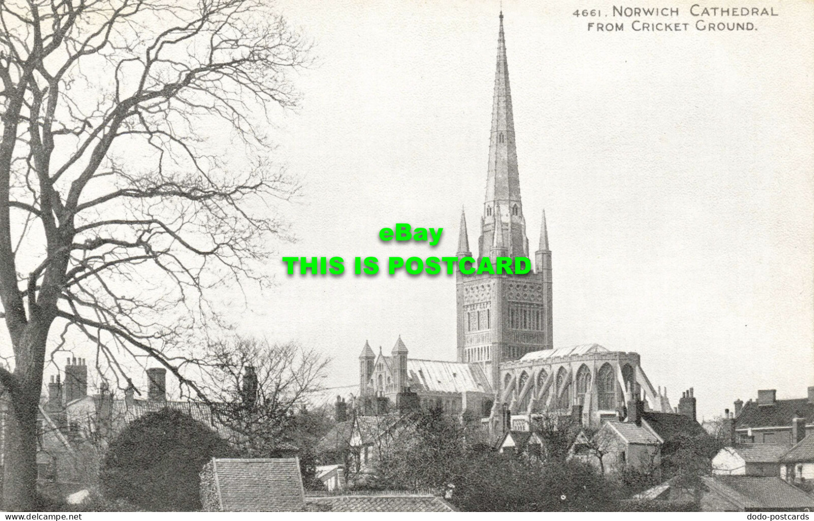 R595384 Norwich Cathedral From Cricket Ground. Photochrom. Grano Series - World