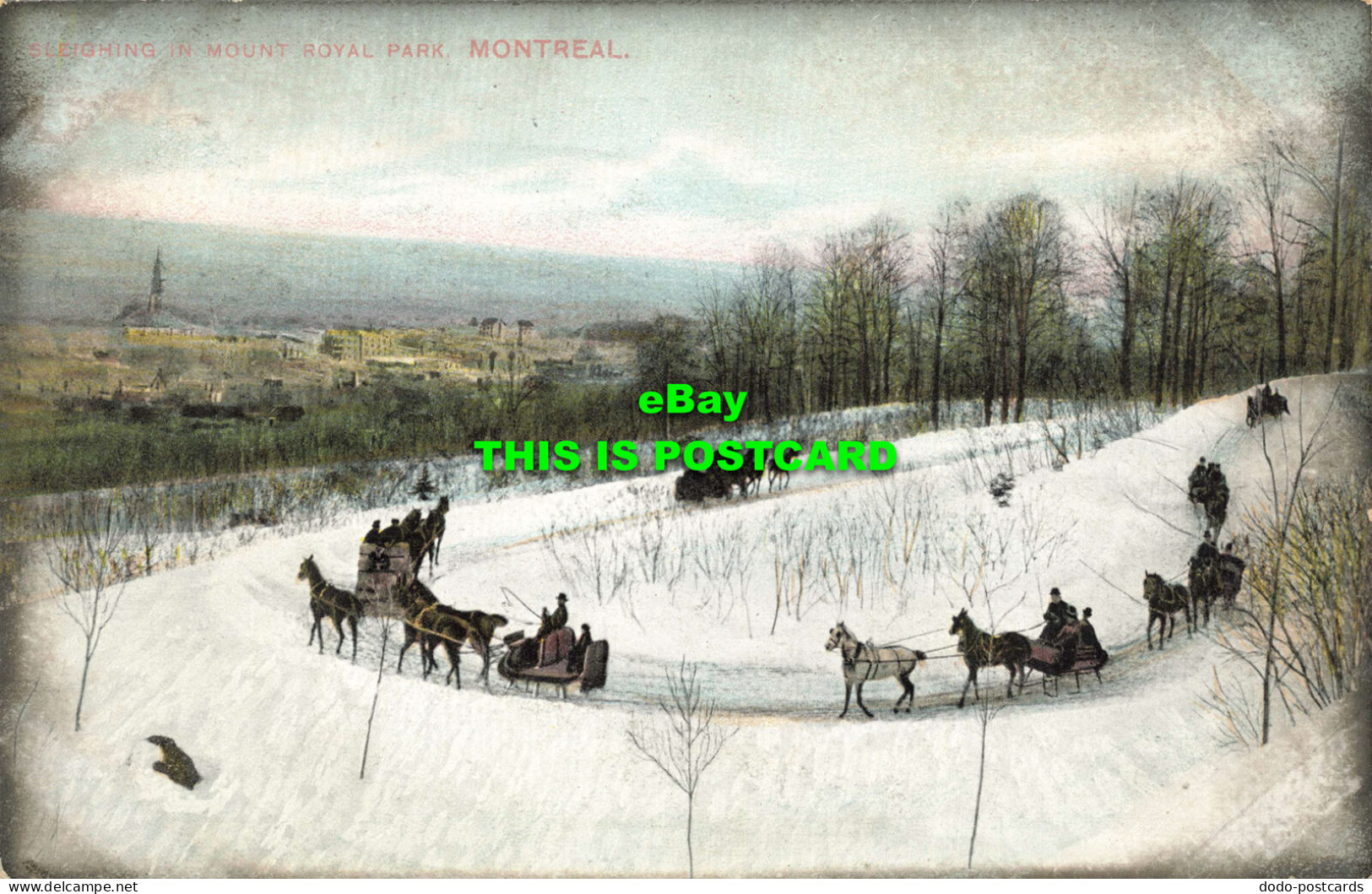 R598373 Montreal. Sleighing In Mount Royal Park. Montreal Import. No. 102 - World