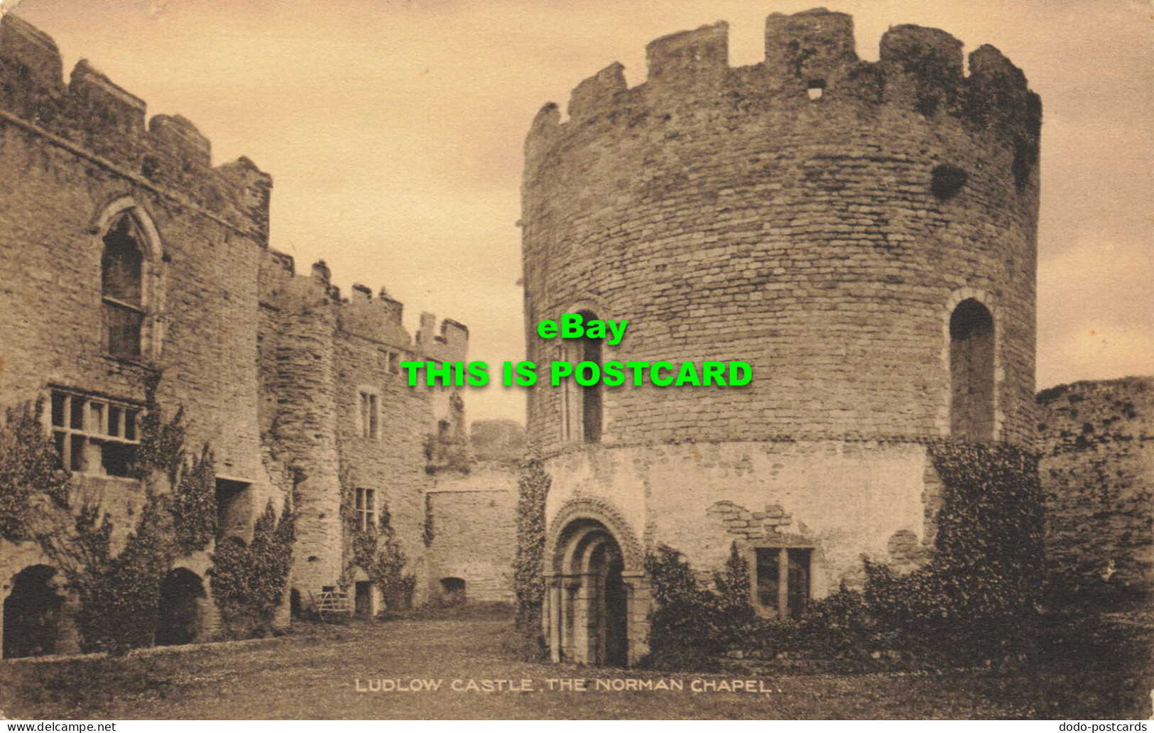 R598762 Ludlow Castle. The Norman Chapel - World