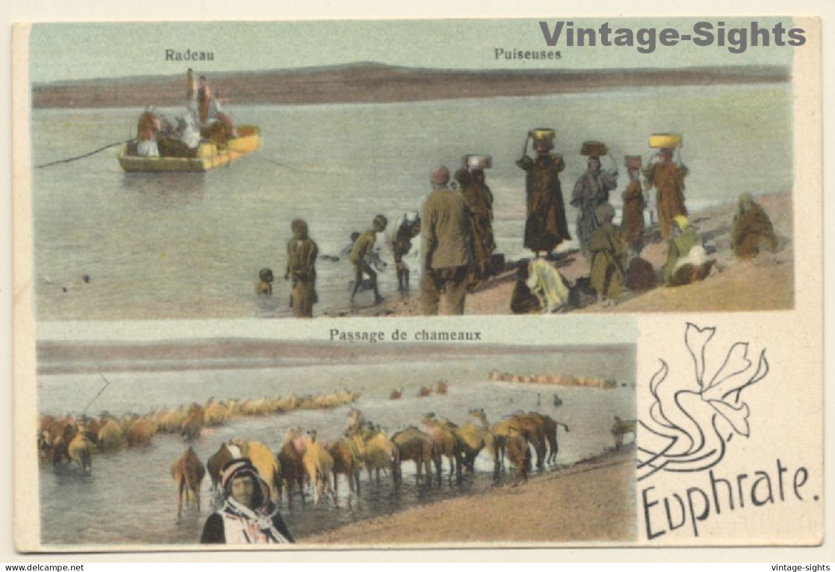 Syria: Euphrate - Radeau - Puiseuses / Camels (Vintage PC 1910s) - Sonstige & Ohne Zuordnung