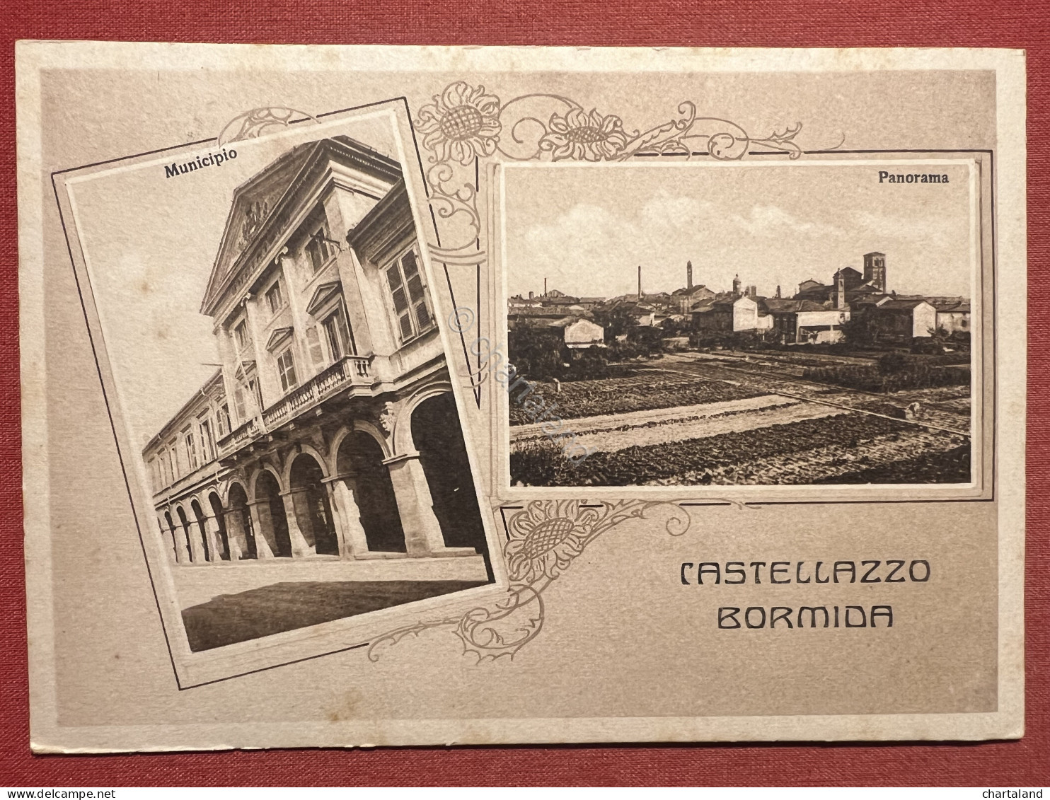 Cartolina - Castellazzo Bormida ( Alessandria ) - Municipio - Panorama - 1940 - Alessandria