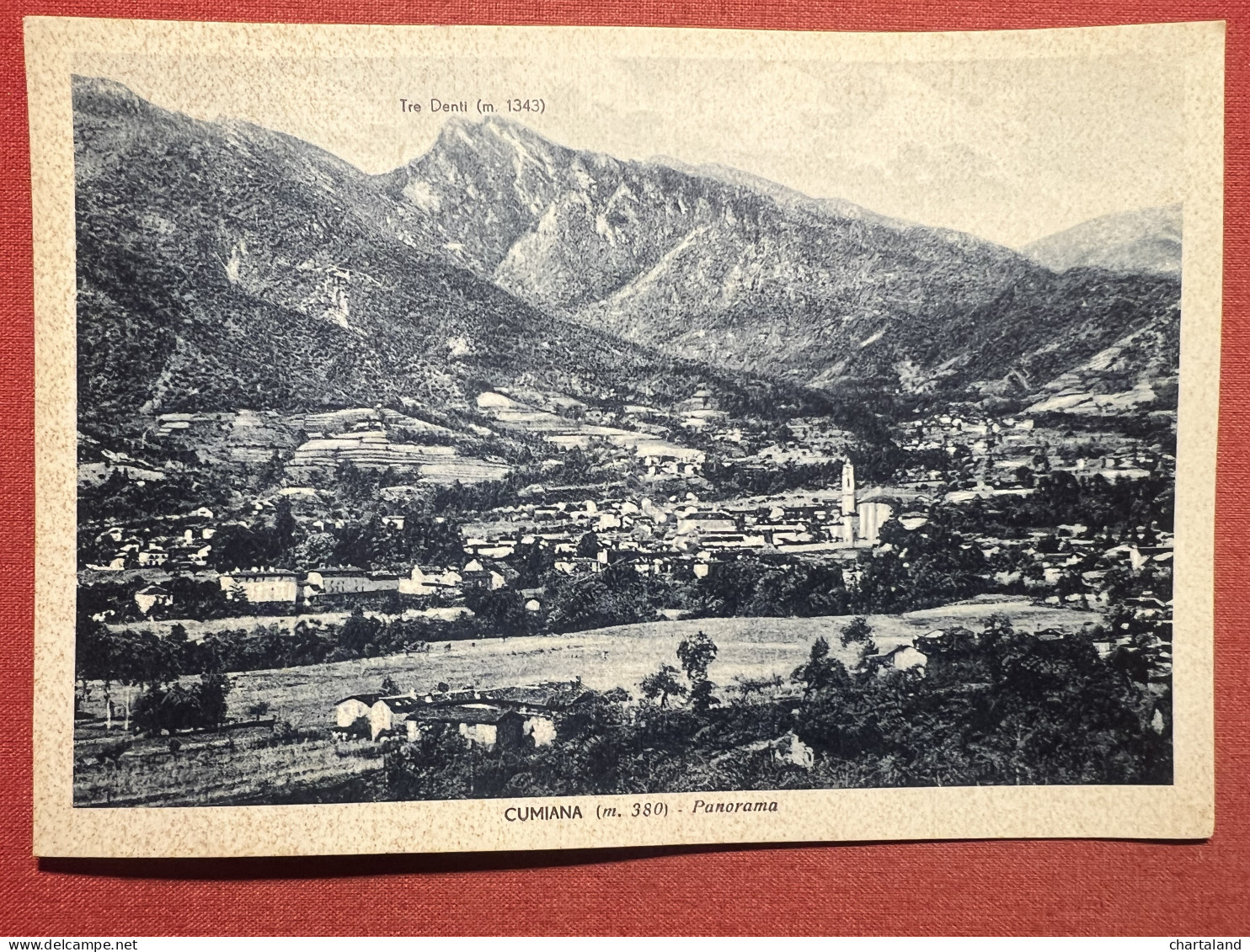 Cartolina - Cumiana ( Torino ) - Panorama - 1935 Ca. - Autres & Non Classés