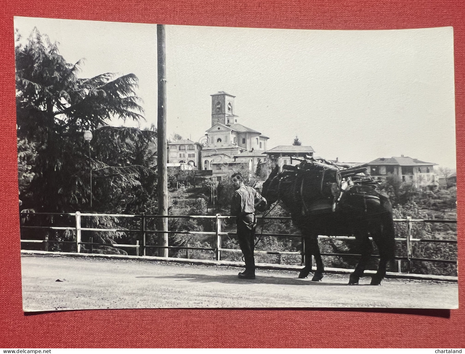 Cartolina - Ailoche ( Biella ) - Scorcio Panoramico 1950 Ca. - Biella