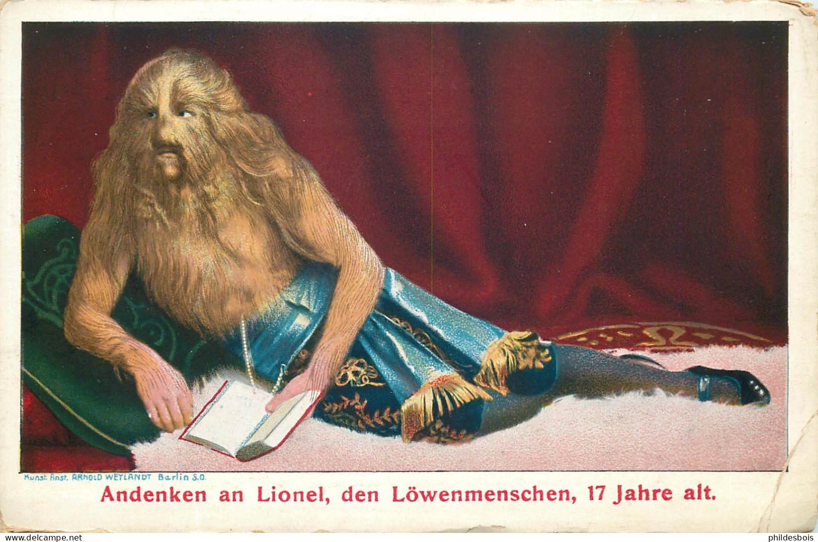 CIRQUE  HOMME Lion ( Andenken An Lionel )  Anglinf Dr - Zirkus