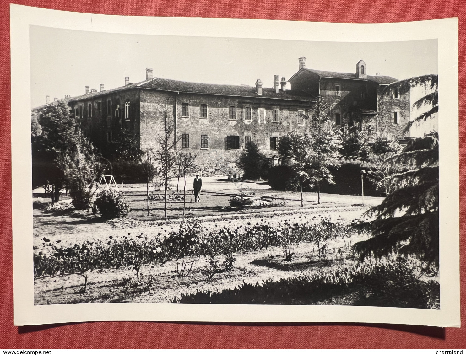 Cartolina - Castello D'Agogna ( Pavia ) - Il Castello 1950 Ca. - Pavia