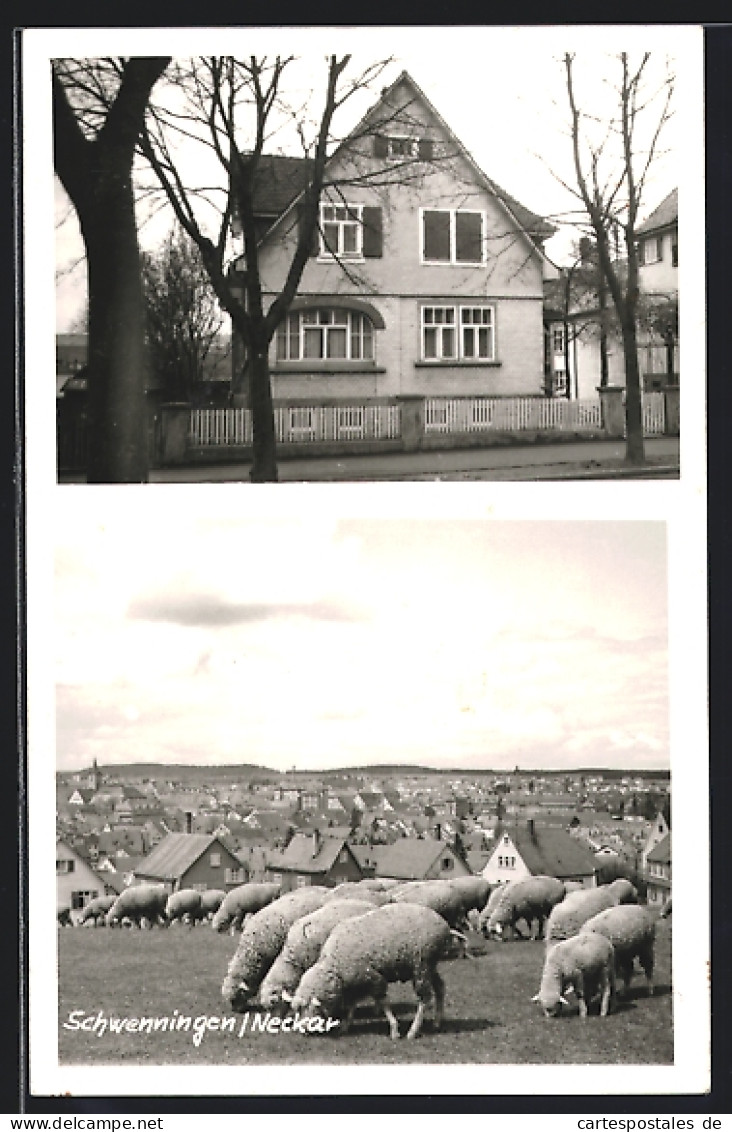 AK Schwenningen /Neckar, Haus In Der Rottweiler Str. 52, Ortsansicht Mit Schafen  - Rottweil