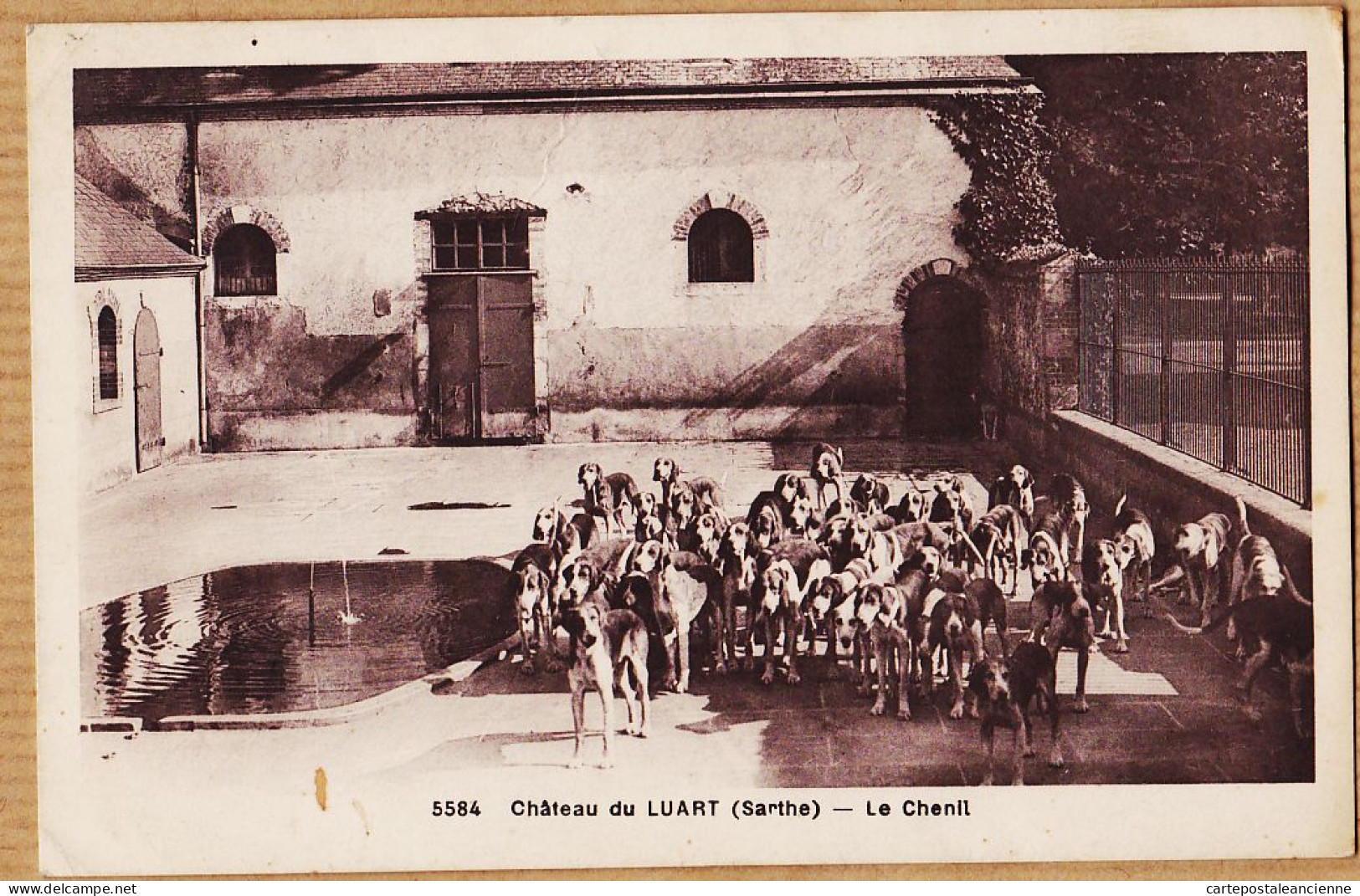35351 / Le LUART Château Du .. Chenil Meute Chien De Chasse 72-Sarthe 1940s AHOL 5584 - Otros & Sin Clasificación