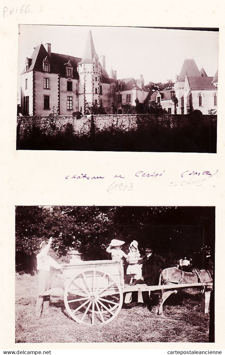 35317 / Sarthe CHATEAU De CERISE  2 Photo Albumine 1900s Attelage Paysan âne Album Famille Général DUPARGE - Old (before 1900)