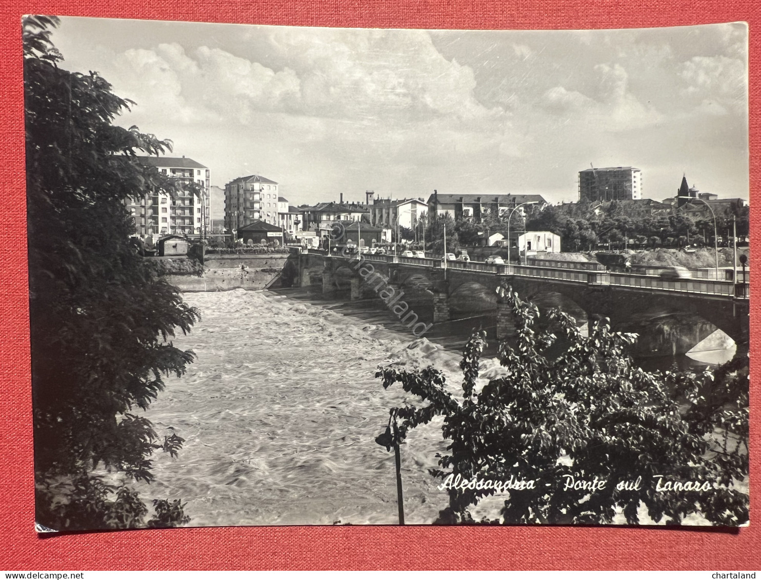 Cartolina - Alessandria - Ponte Sul Tanaro 1950 Ca. - Alessandria