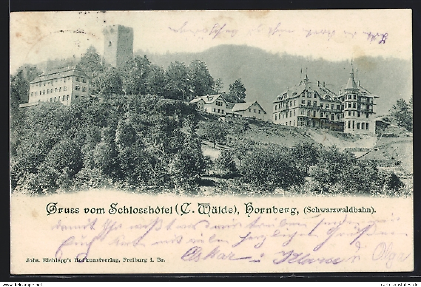 AK Hornberg /Schwarzwald, Schlosshotel Mit Umgebung  - Hornberg