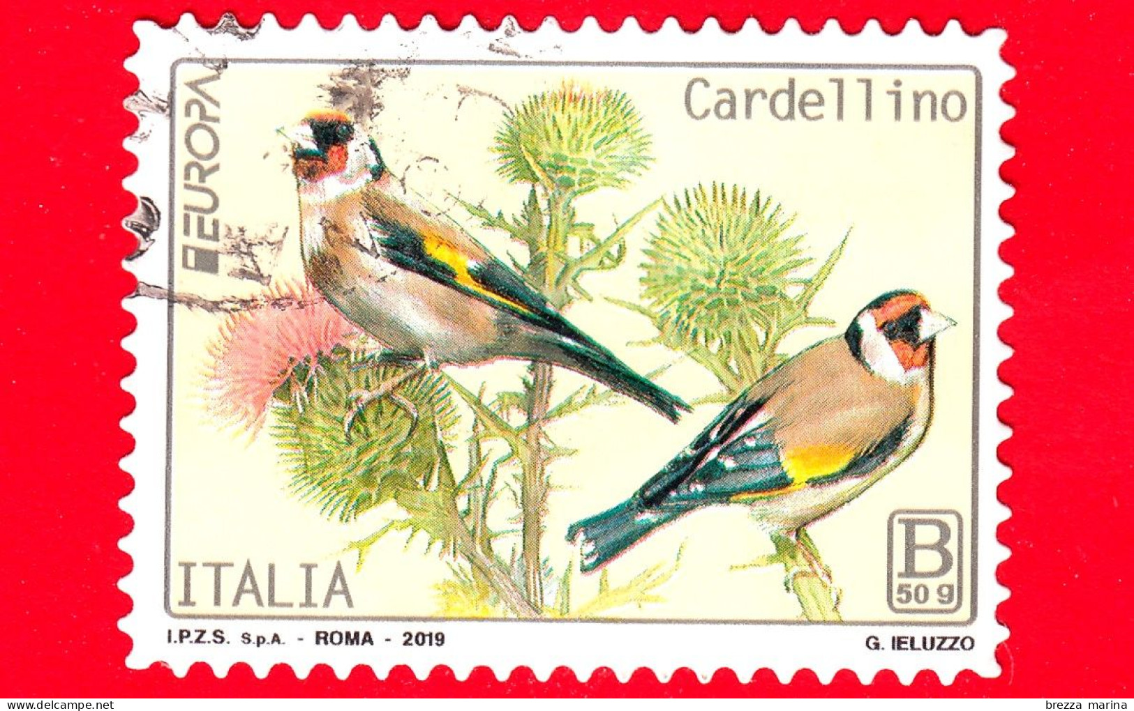 ITALIA - Usato - 2019 - Europa 2019 - Uccelli - Bird - Cardellino – B 50g - 2011-20: Oblitérés