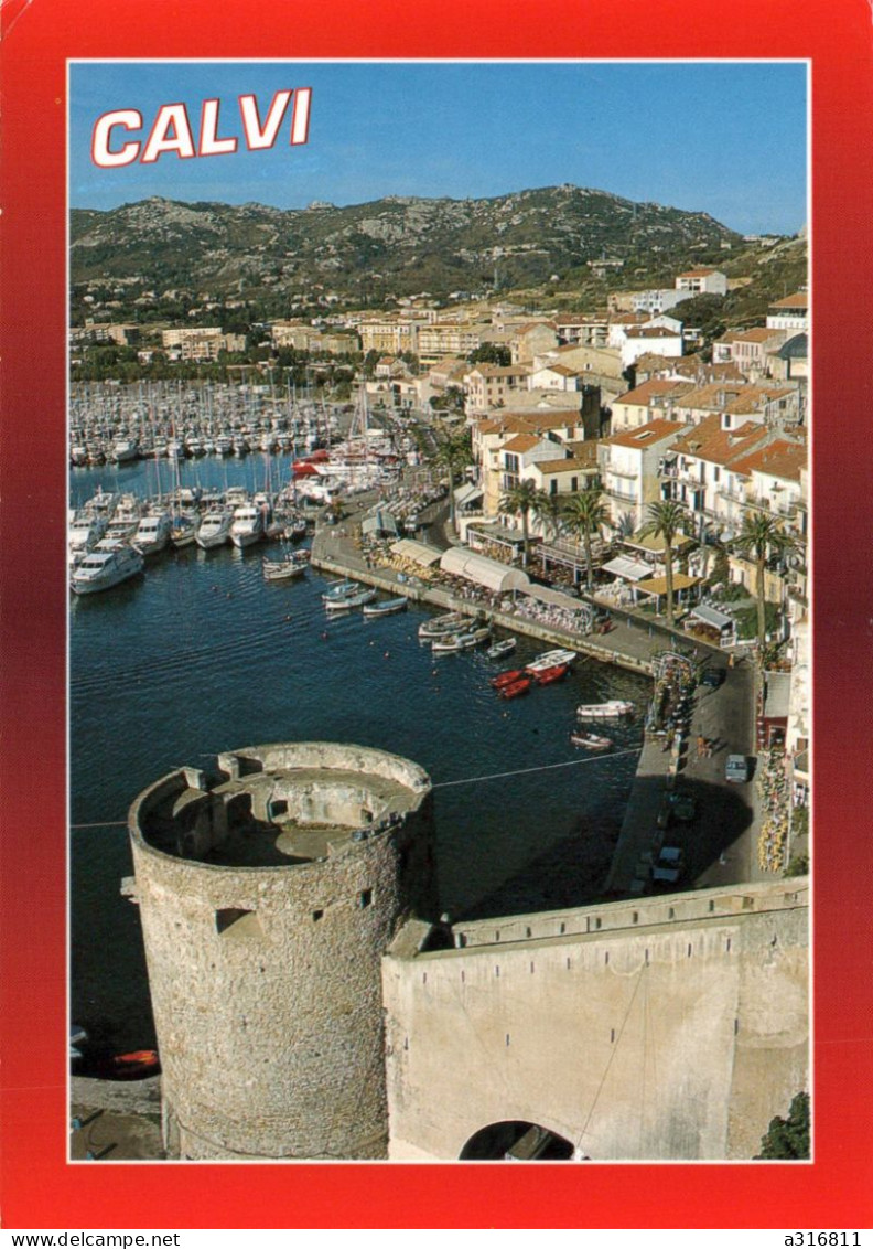 Calvi Le Port - Calvi