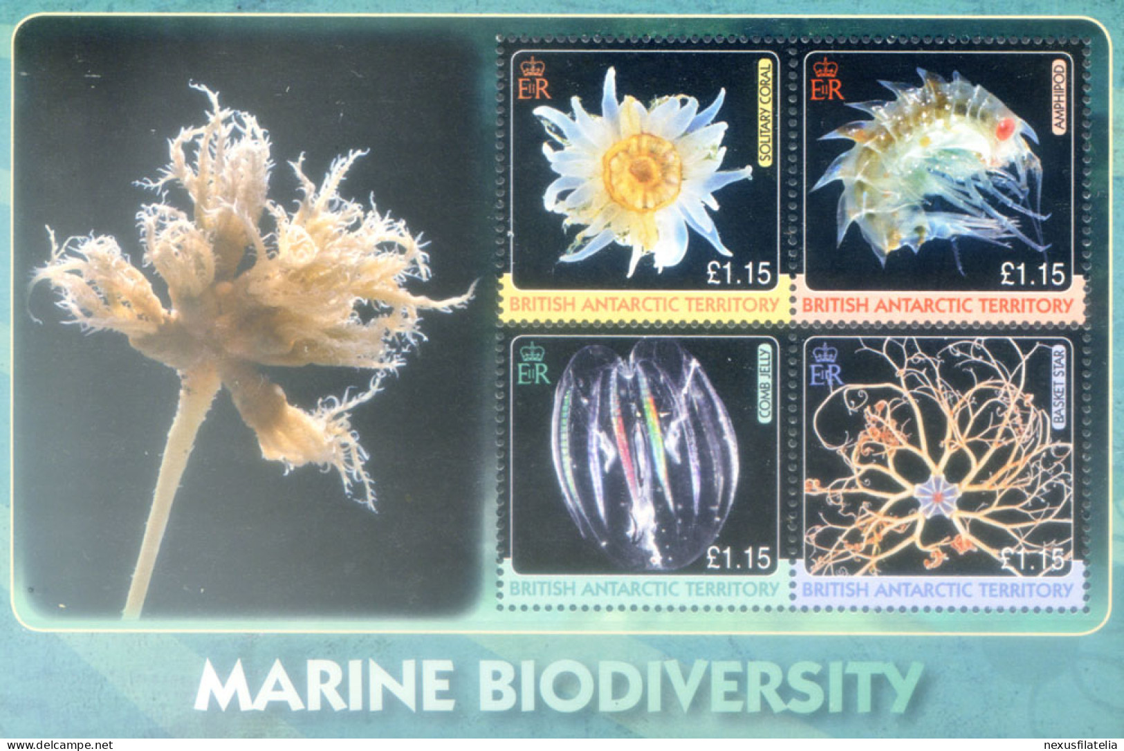 Biodiversità Marina 2010. - Andere & Zonder Classificatie