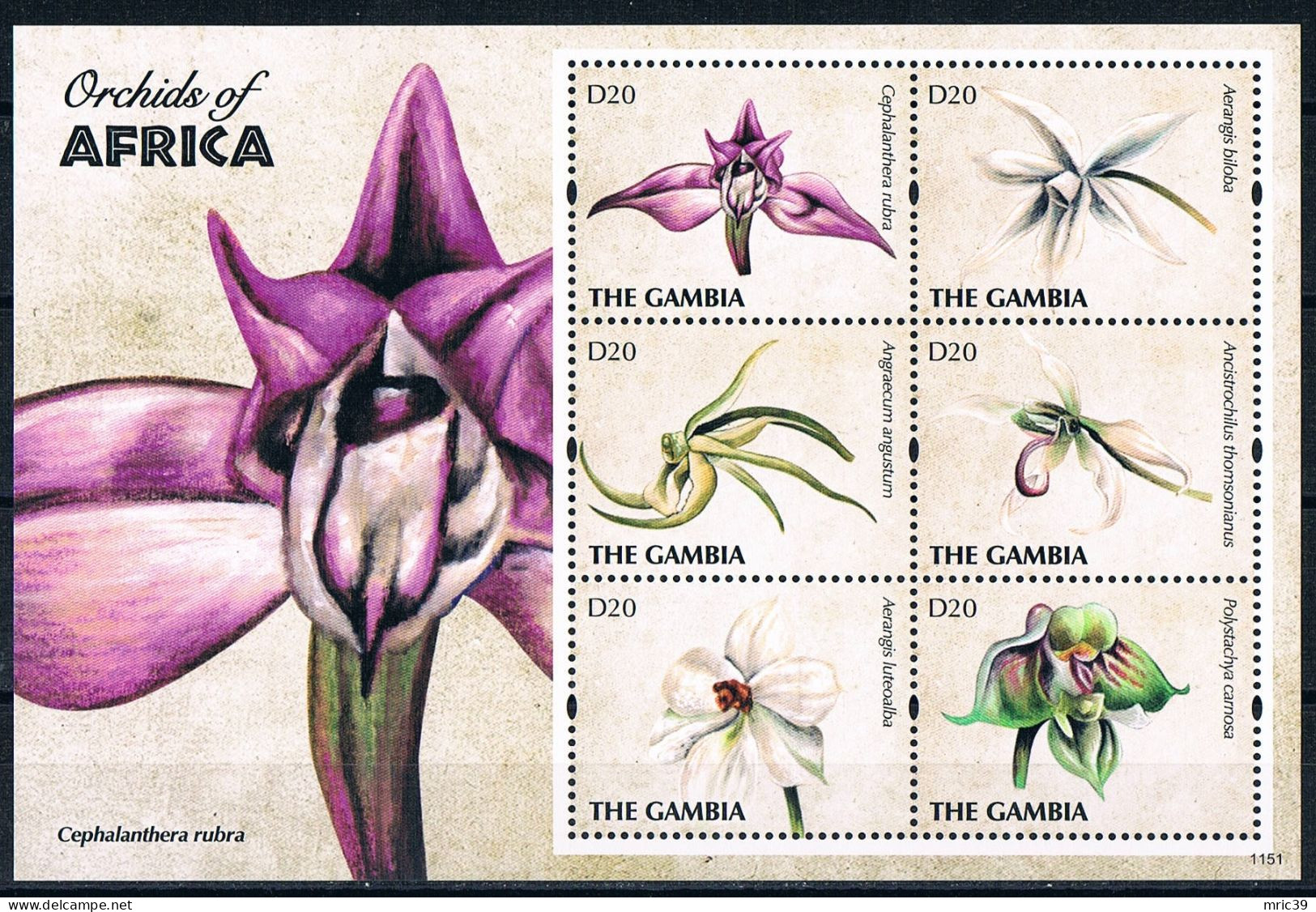 Bloc Sheet  Fleurs Orchidées Flowers Orchids  Neuf  MNH **   Gambie Gambia 2011 - Orchideeën