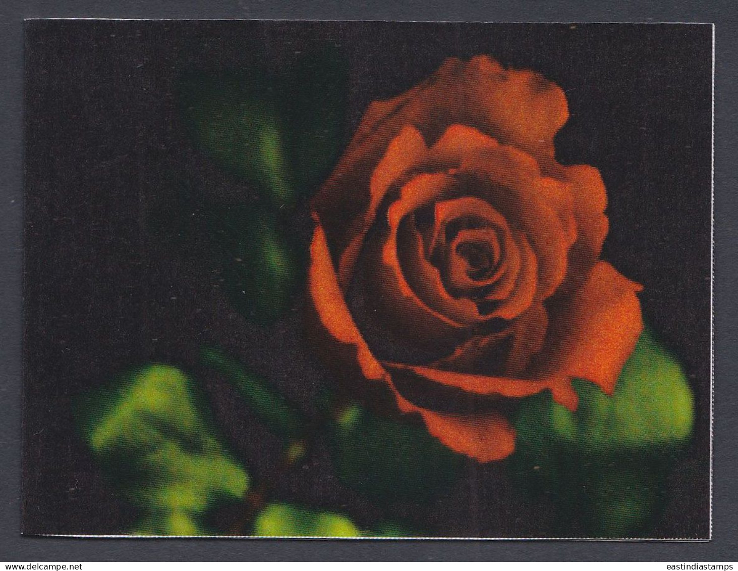 Bangladesh Mint Private Booklet Rose Flower, Roses, Flowers - Bangladesch