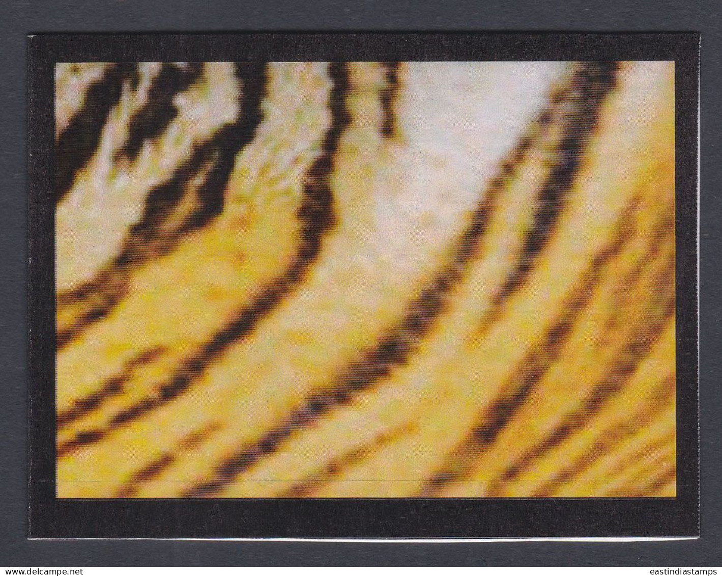 Bangladesh Mint Private Booklet Tiger, Tigers, Wildlife, Wild Life, Animal, Animals - Bangladesh