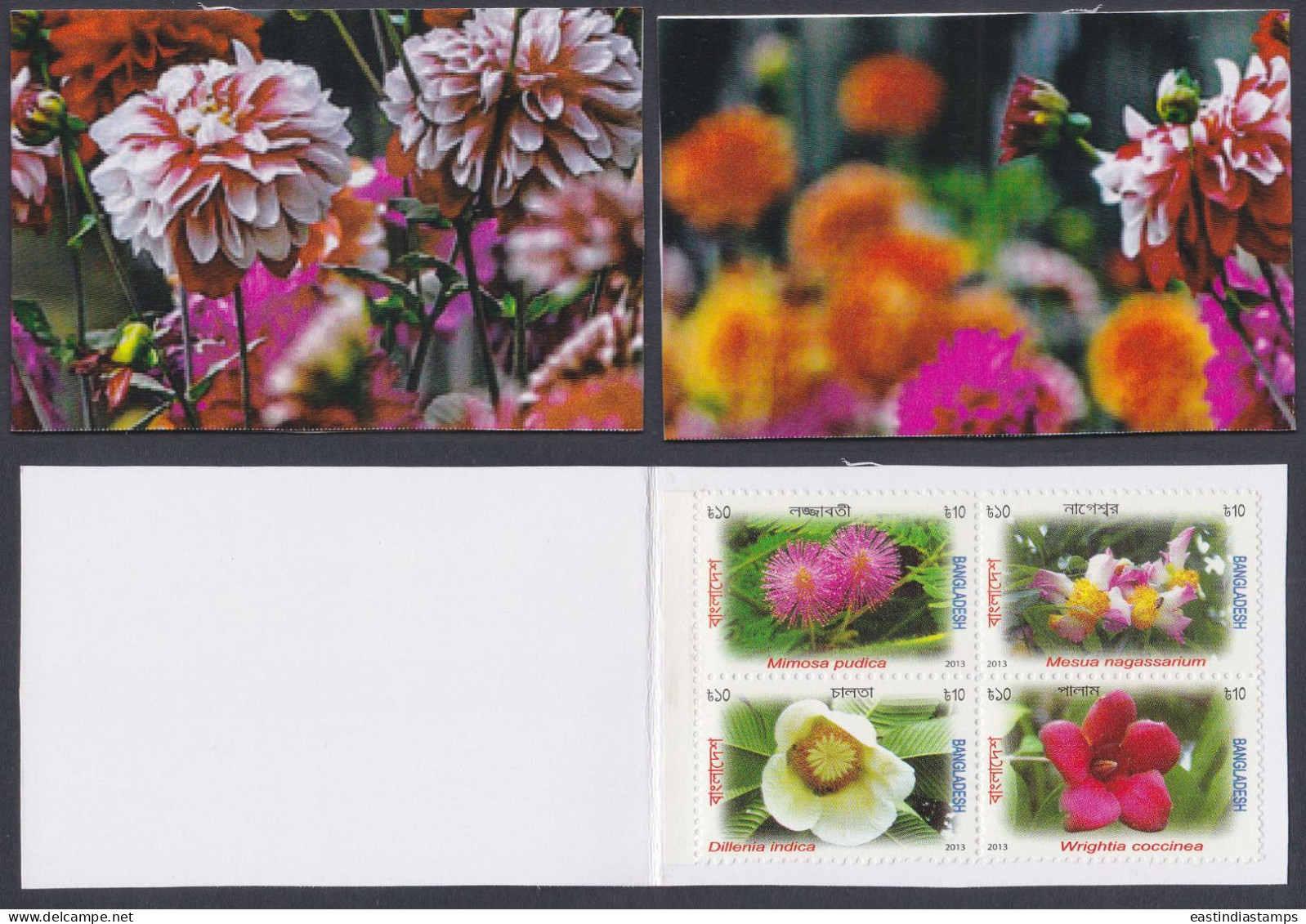 Bangladesh Mint Private Booklet Flower, Flowers, Flora - Bangladesh