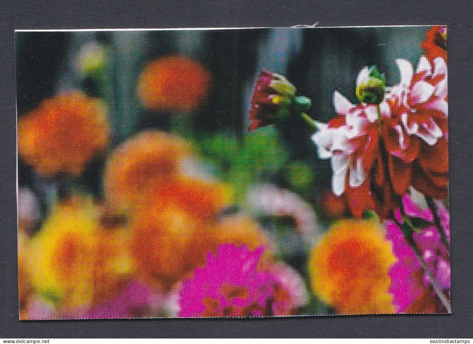 Bangladesh Mint Private Booklet Flower, Flowers, Flora - Bangladesh