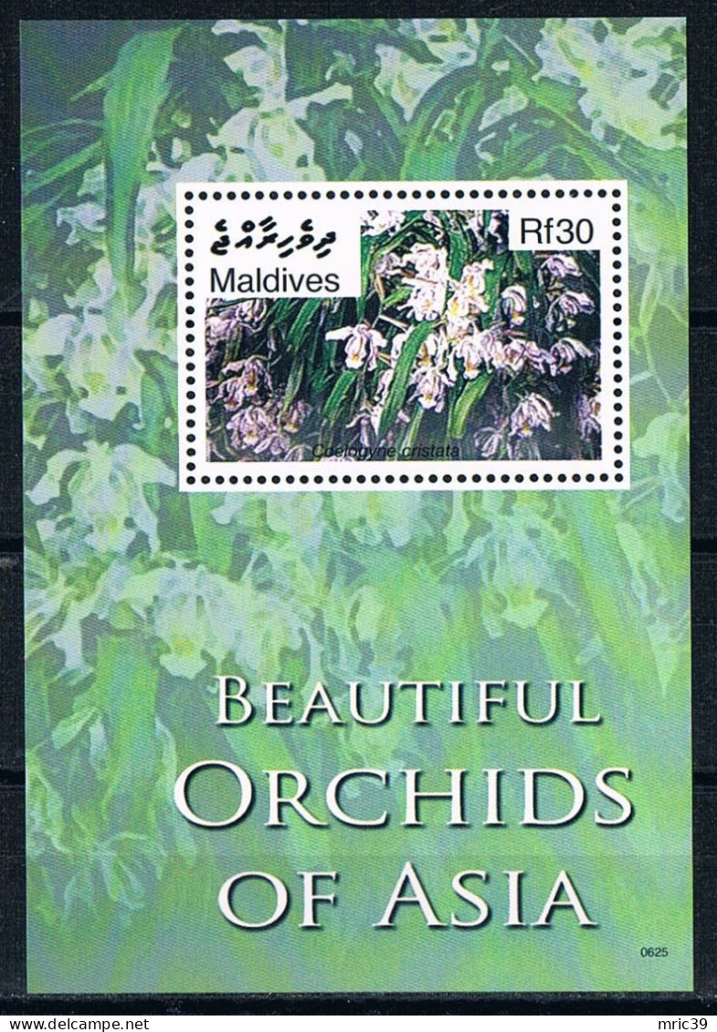 Bloc Sheet  Fleurs Orchidées Flowers Orchids  Neuf  MNH **   Maldives 2007 - Orquideas