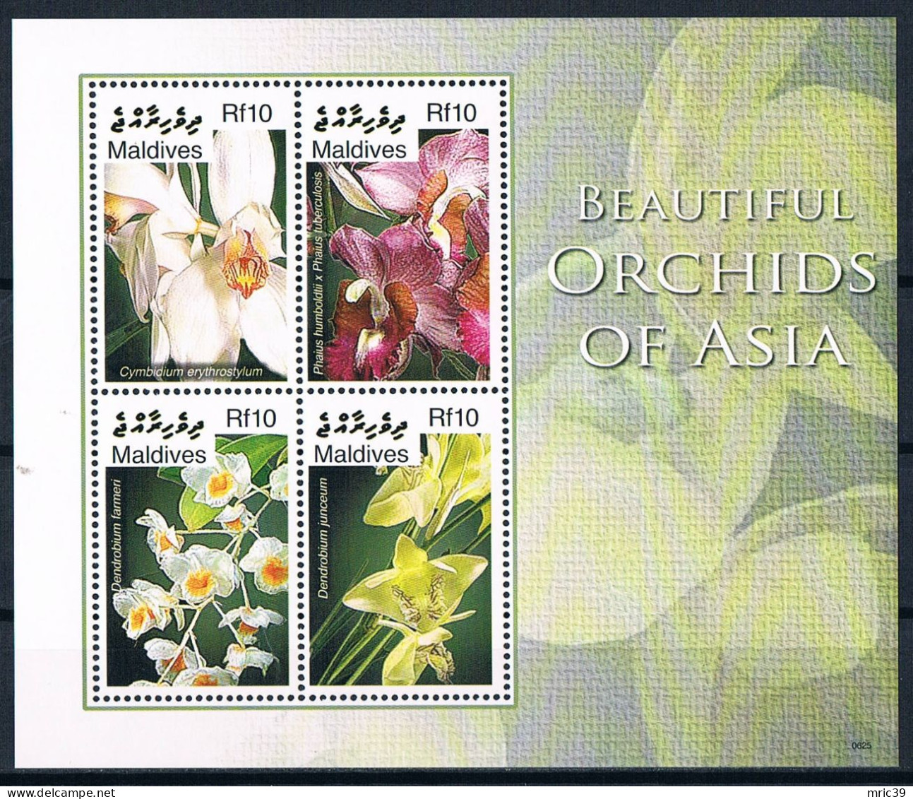 Bloc Sheet  Fleurs Orchidées Flowers Orchids  Neuf  MNH **   Maldives 2007 - Orchidee